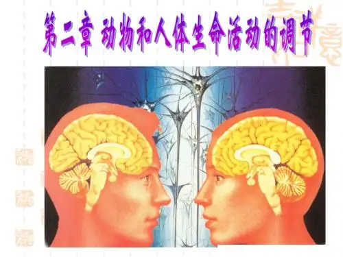 8.神经冲动的产生和传导