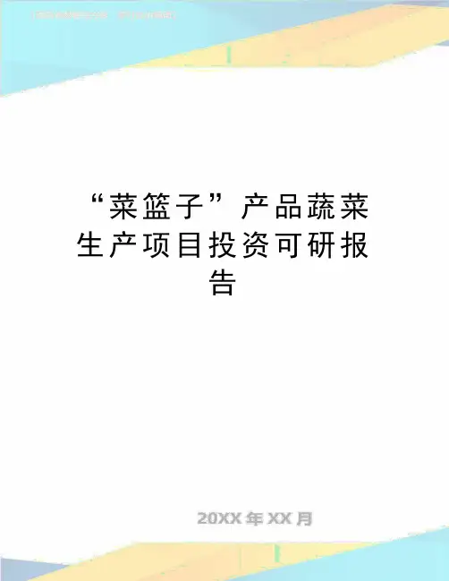 最新“菜篮子”产品蔬菜生产项目投资可研报告