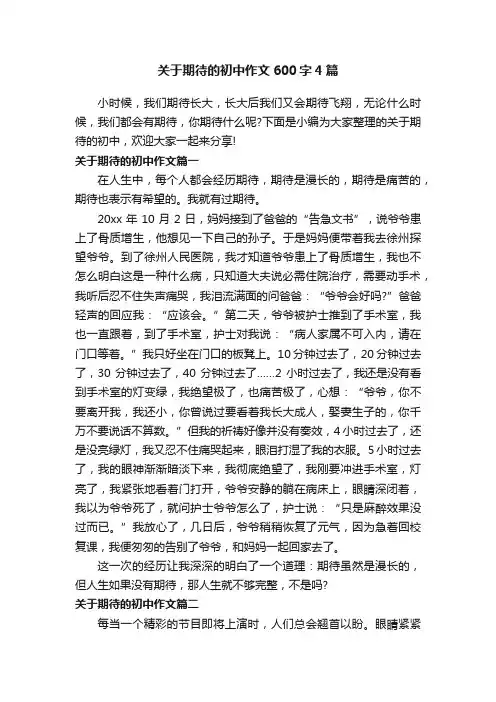 关于期待的初中作文600字4篇