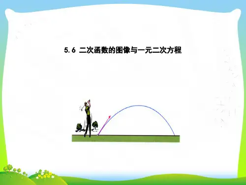 【最新】青岛版九年级数学下册第五章《二次函数的图像与一元二次方程》优质公开课课件.ppt