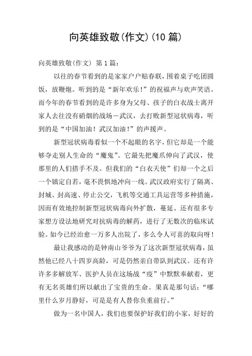 向英雄致敬(作文)(10篇)