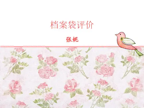 档案袋评价