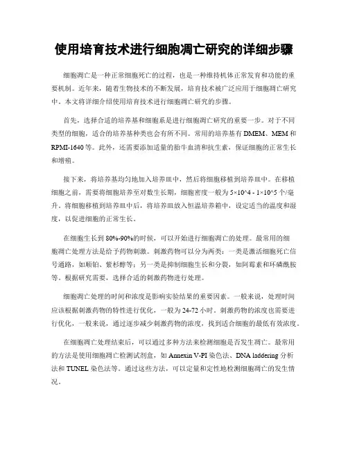 使用培育技术进行细胞凋亡研究的详细步骤