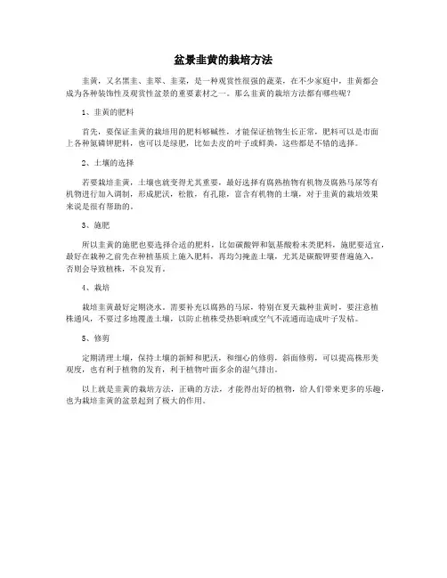 盆景韭黄的栽培方法