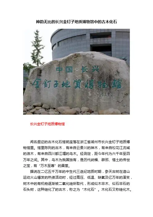 神韵无比的长兴金钉子地质博物馆中的古木化石