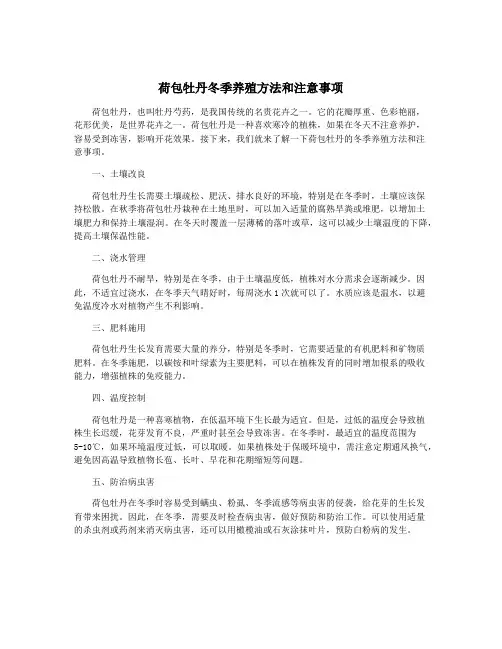 荷包牡丹冬季养殖方法和注意事项