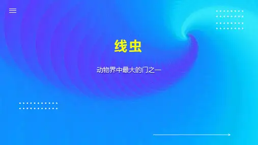 线虫    
