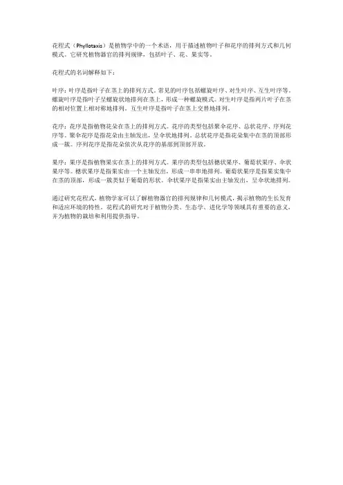 花程式名词解释植物学