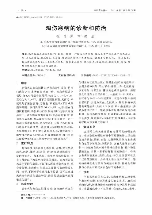 鸡伤寒病的诊断和防治