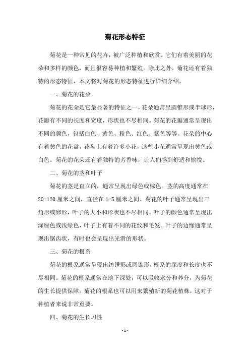 菊花形态特征