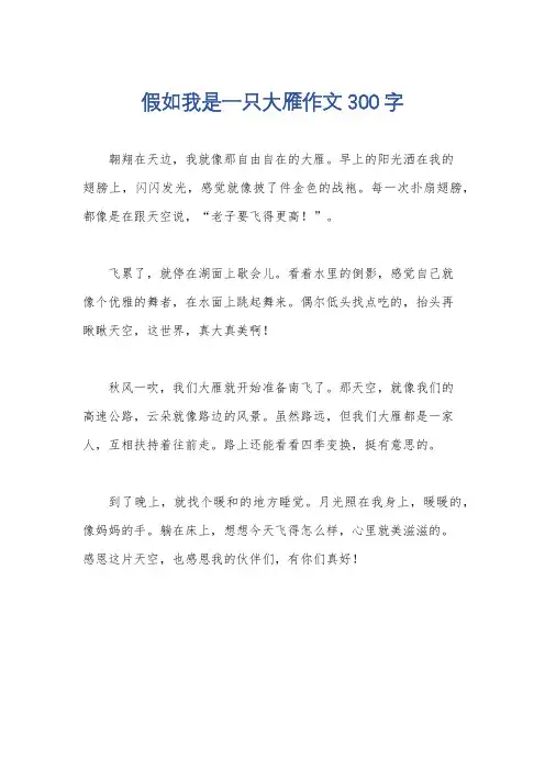 假如我是一只大雁作文300字