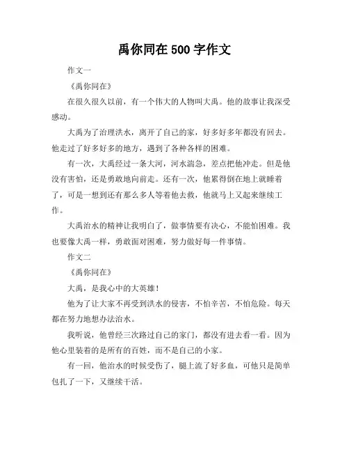 禹你同在500字作文