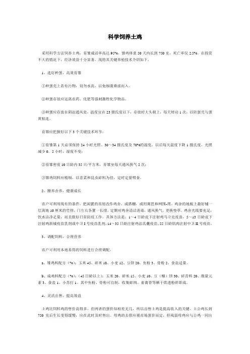科学饲养土鸡