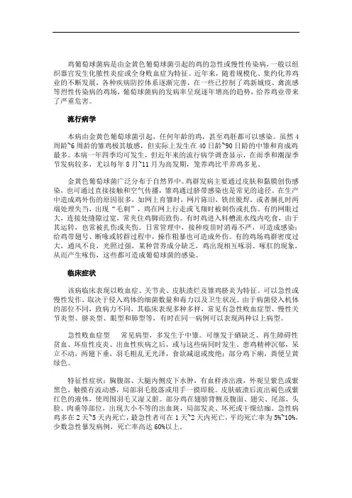 鸡葡萄球菌感染