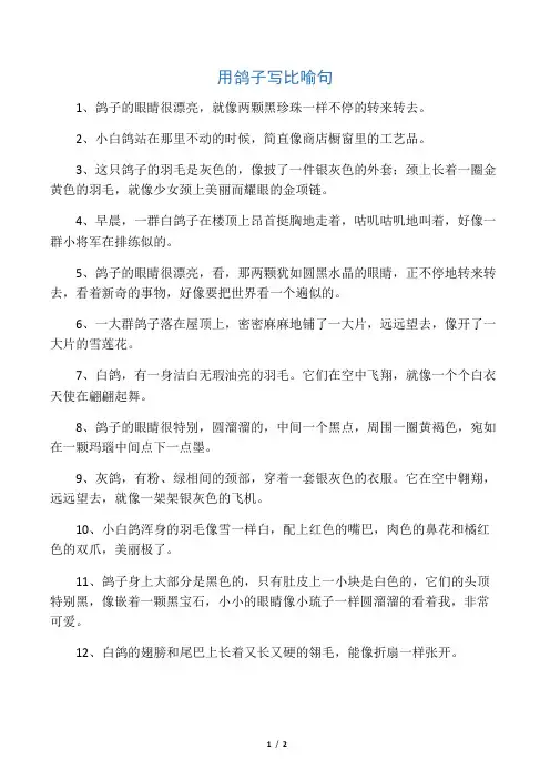 用鸽子写比喻句