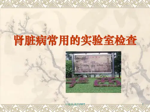 肾脏病常用实验室检查ppt课件