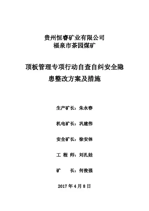 2017顶板专项自查整改方案
