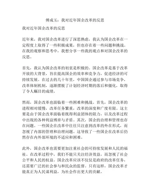 傅成玉：我对近年国企改革的反思