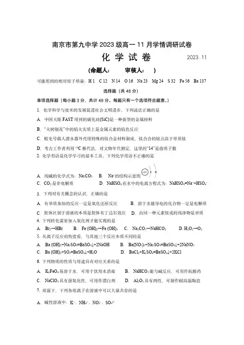南京市第九中学2023-2024学年上学期高一11月期中化学试卷(含答案)