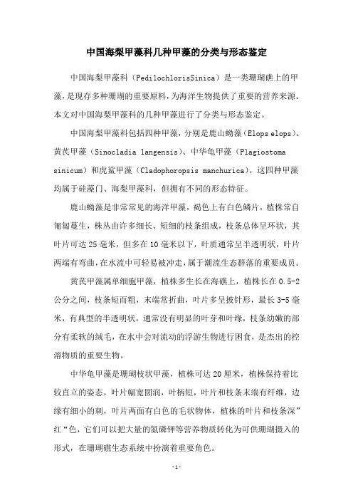 中国海梨甲藻科几种甲藻的分类与形态鉴定