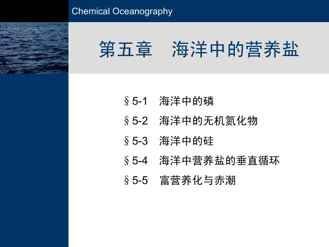 5海洋中的营养盐