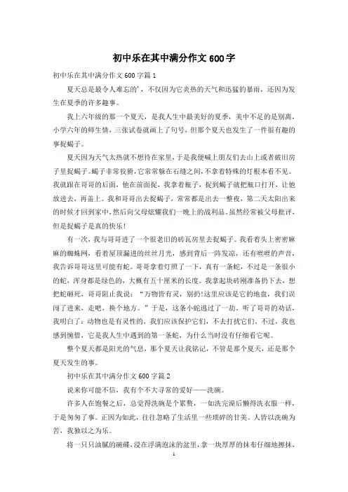 初中乐在其中满分作文600字
