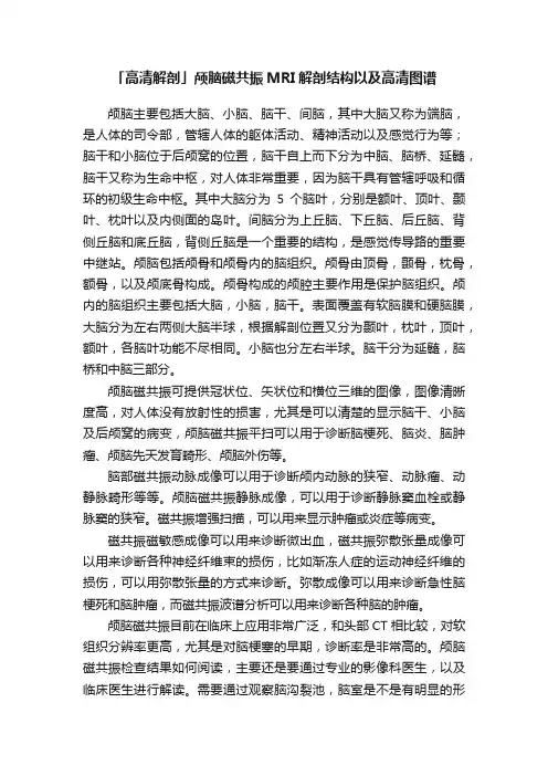 「高清解剖」颅脑磁共振MRI解剖结构以及高清图谱