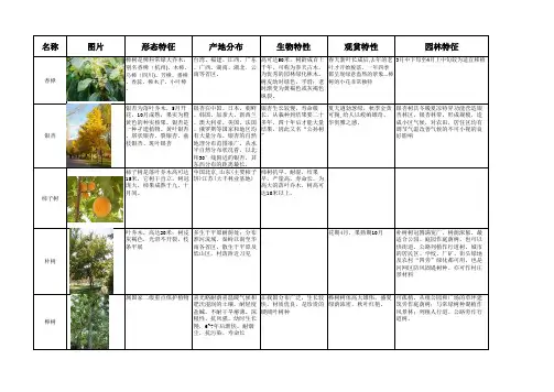 华东区植物表