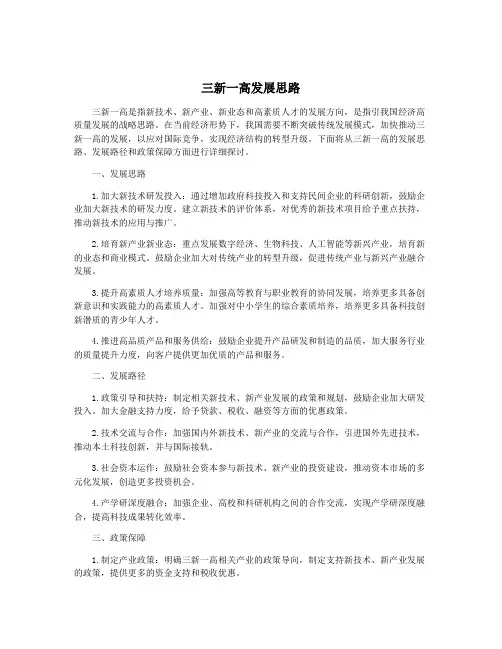 三新一高发展思路