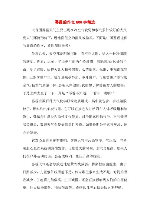 2019年雾霾的作文600字精选