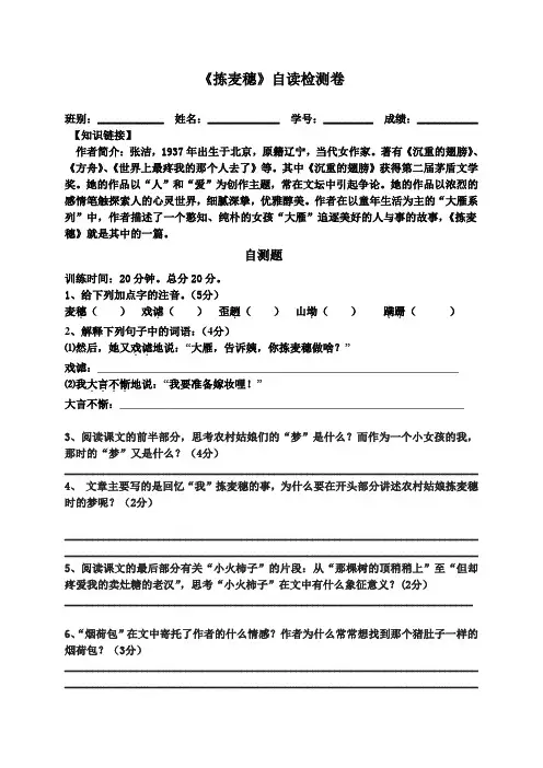 (完整版)捡麦穗的练习题