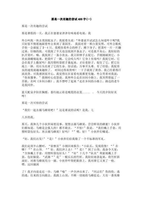 那是一次有趣的尝试400字