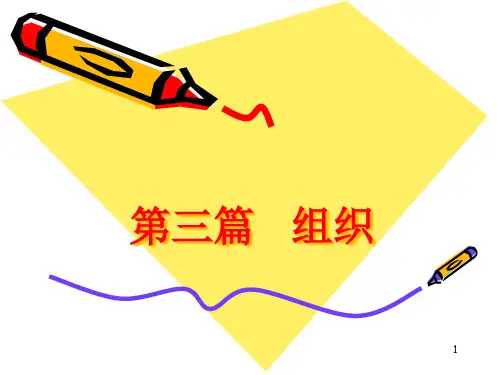 现代管理原理 第七章组织结构设计