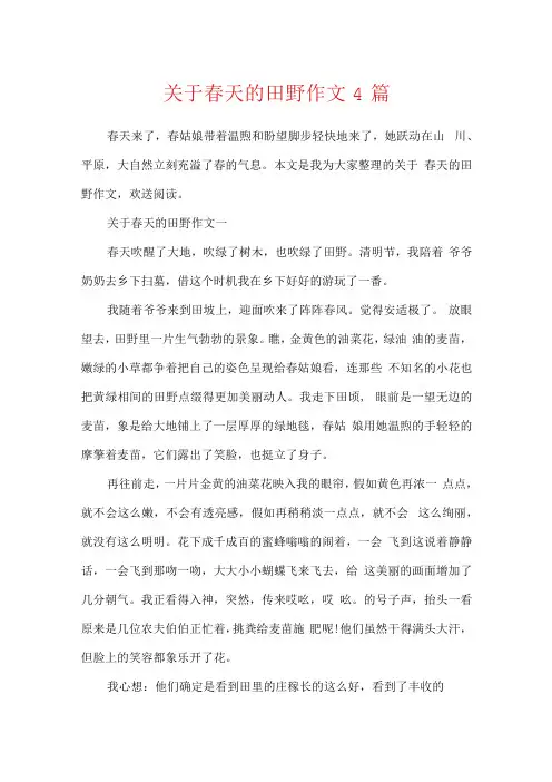 关于春天的田野作文4篇.docx