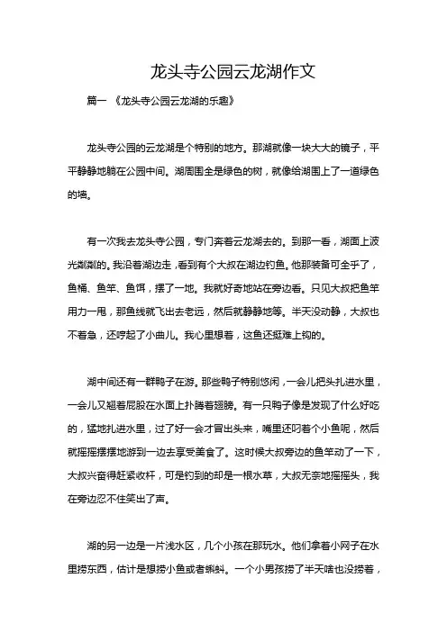 龙头寺公园云龙湖作文