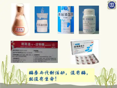 《生物化学》-第五章  酶化学