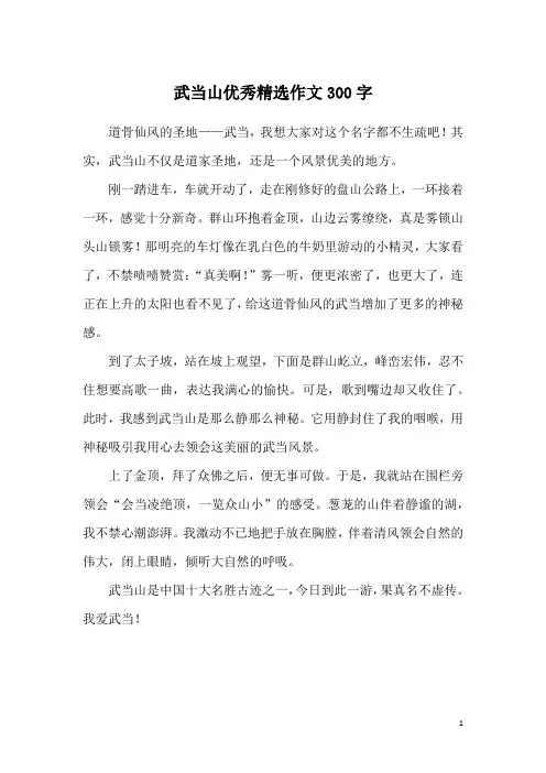 武当山优秀精选作文300字