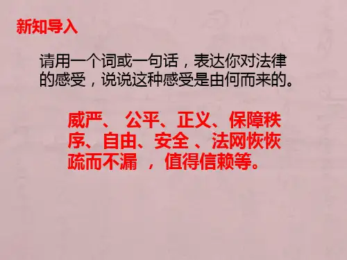 人教版《道德与法治》七年级下册 9.2 法律保障生活 课件(共19张PPT)