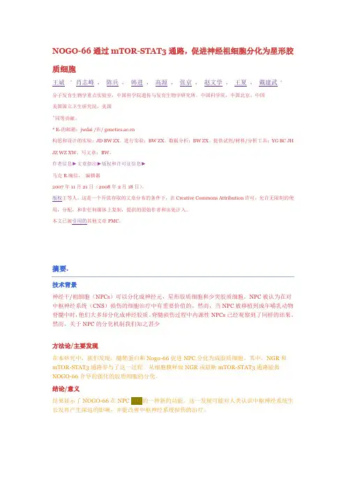 NOGO-66通过mTOR-STAT3通路,促进神经祖细胞分化为星形胶质细胞