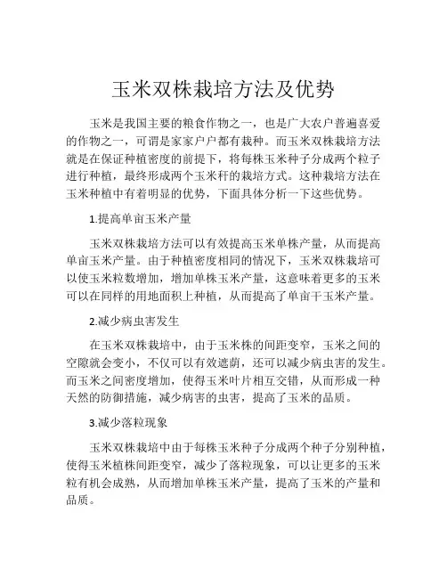 玉米双株栽培方法及优势