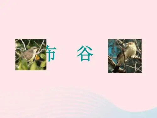 一年级音乐下册第1课《布谷》课件4人音版
