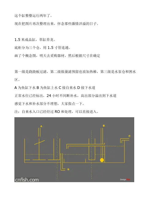 非洲三湖慈鲷鱼缸过滤制作
