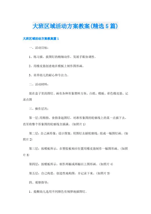 大班区域活动方案教案(精选5篇)