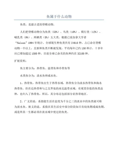 鱼属于什么动物