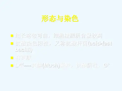 结核分枝杆菌