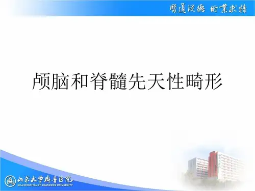 颅脑和脊髓先天性畸形PPT