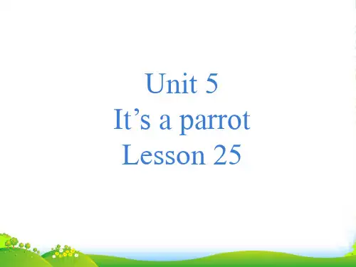 新人教精通版三年级英语下册 Unit 5 It's a parrot Lesson 25 课件1