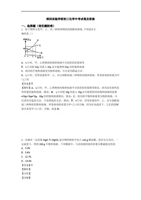 深圳实验学校初三化学中考试卷及答案