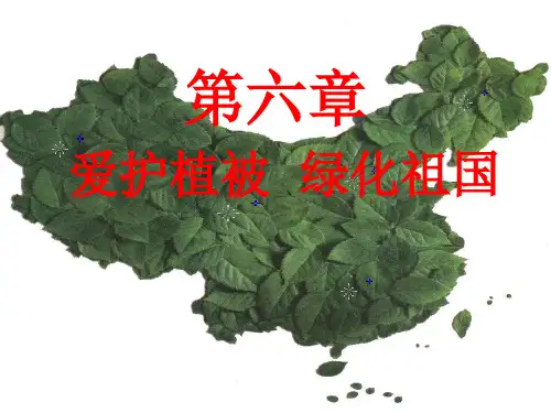 爱护植被绿化祖国上课用课件39页PPT文档