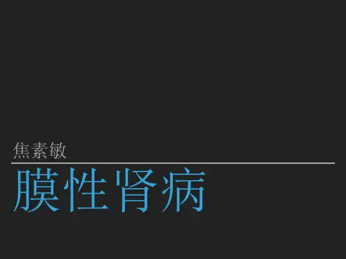 《膜性肾病》ppt课件